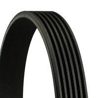 CONTINENTAL - CONTITECH 6PK1613 - 6PK1613 CONTI ACANALADA