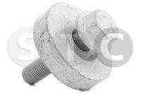 METALCAUCHO 02269 - TORNILLO POLEA CIGUENAL MEGANE-II